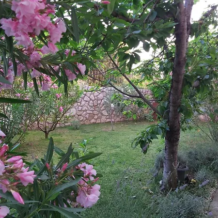 Meeresblick * Drage